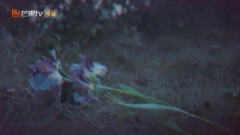 20260325上